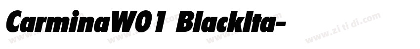 CarminaW01 BlackIta字体转换